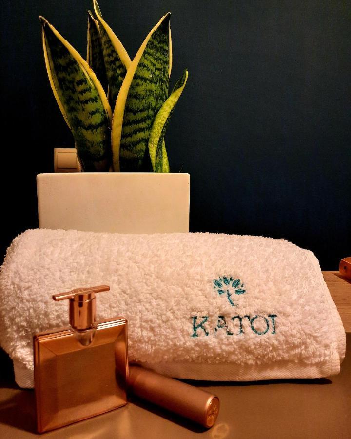 Katoi Traditional House Exo Khora ภายนอก รูปภาพ